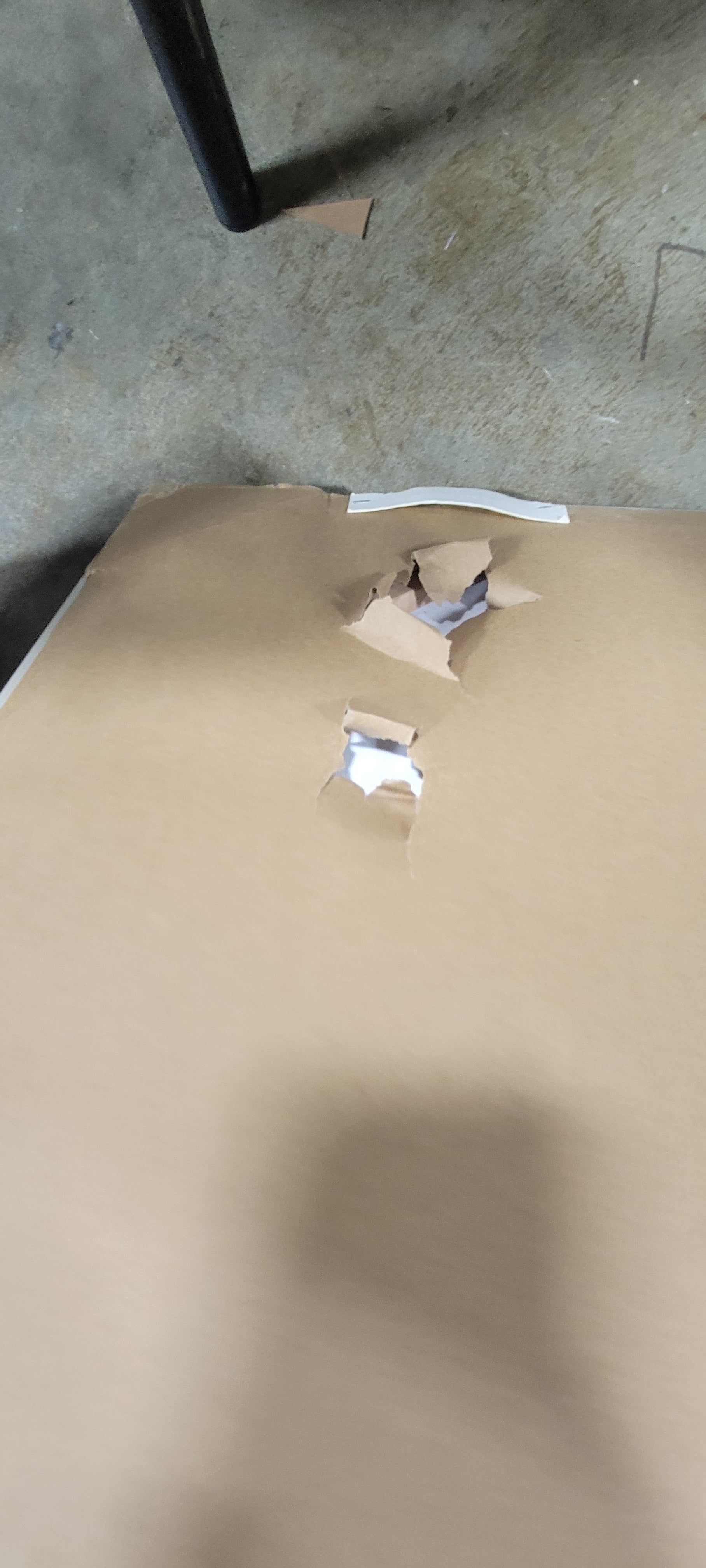 Line Drawing Wall Canvases Gray/White