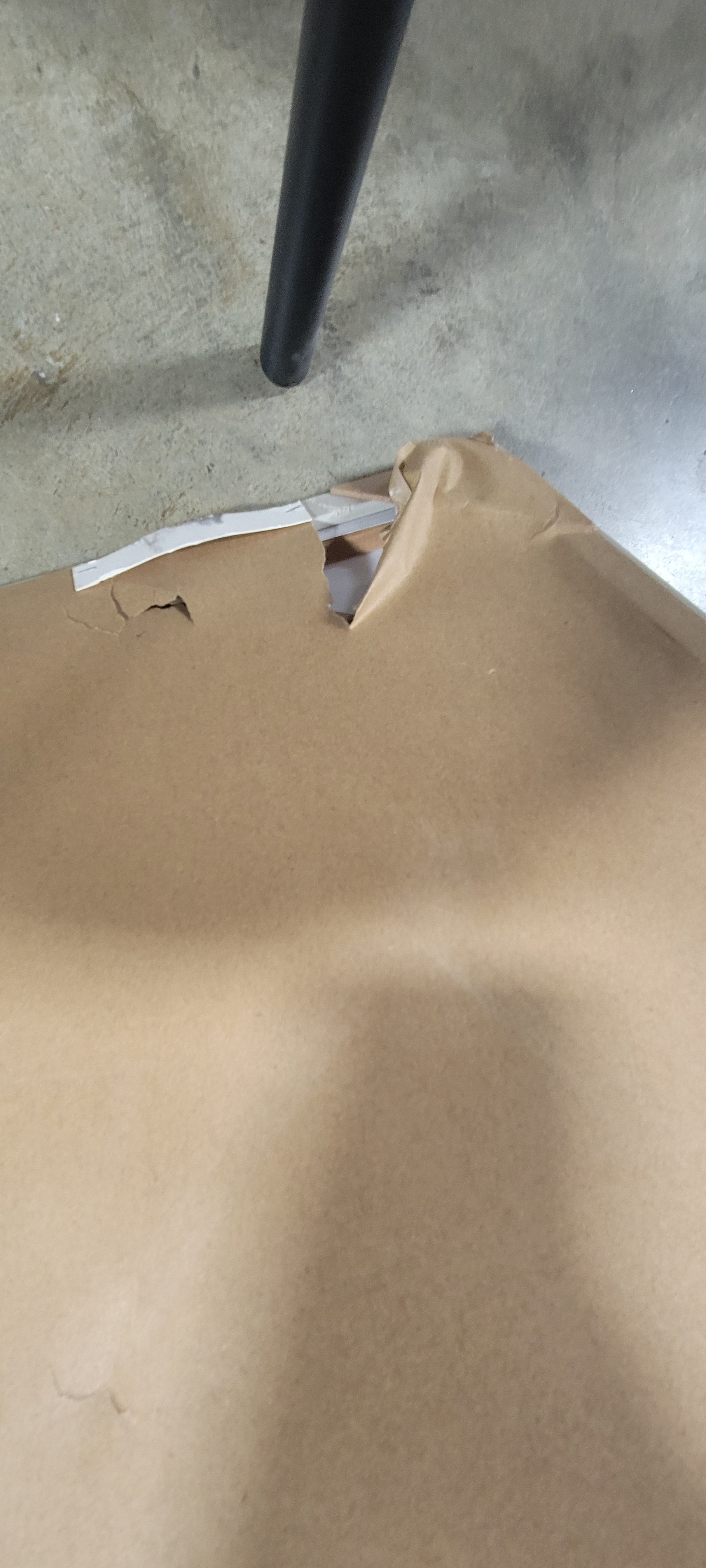 Line Drawing Wall Canvases Gray/White