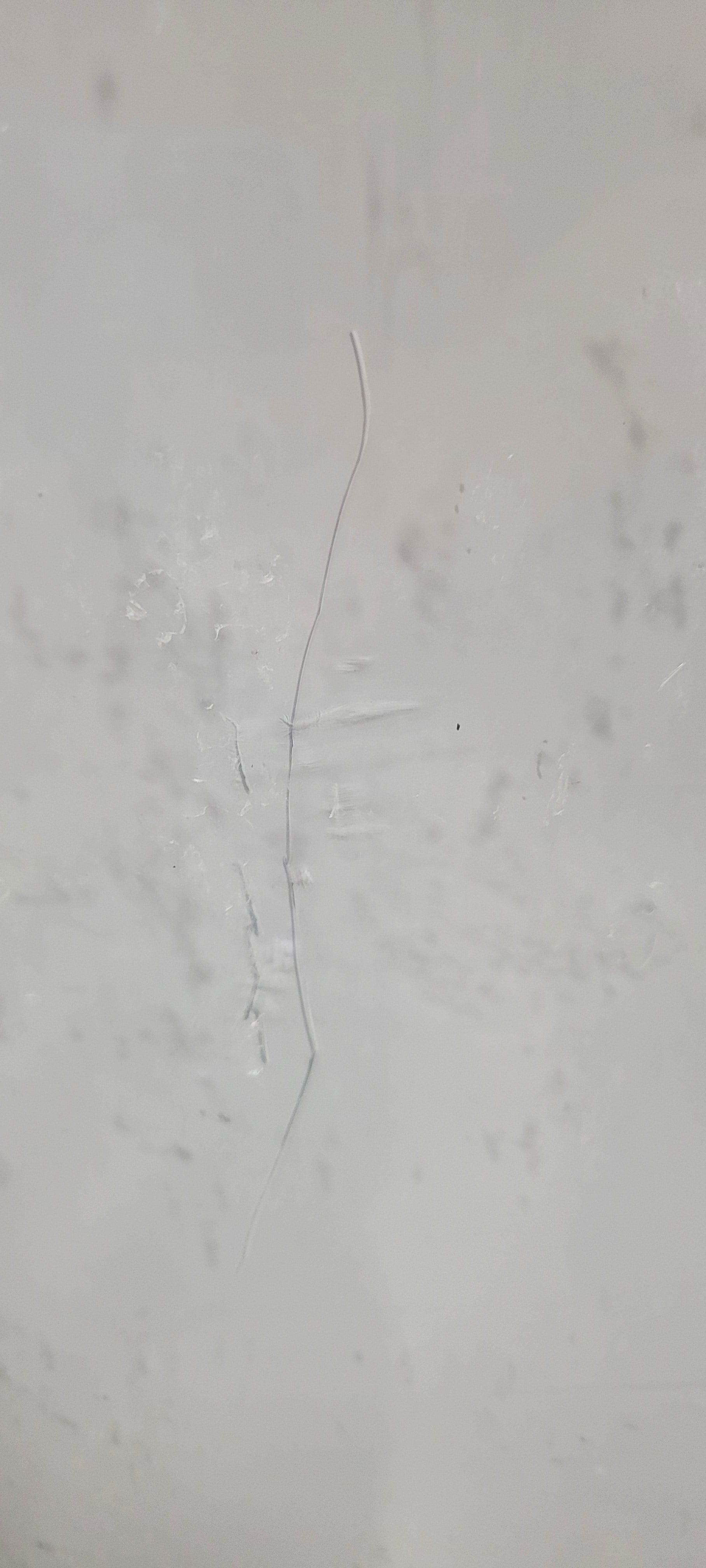 Traditional Poster Picture Frame