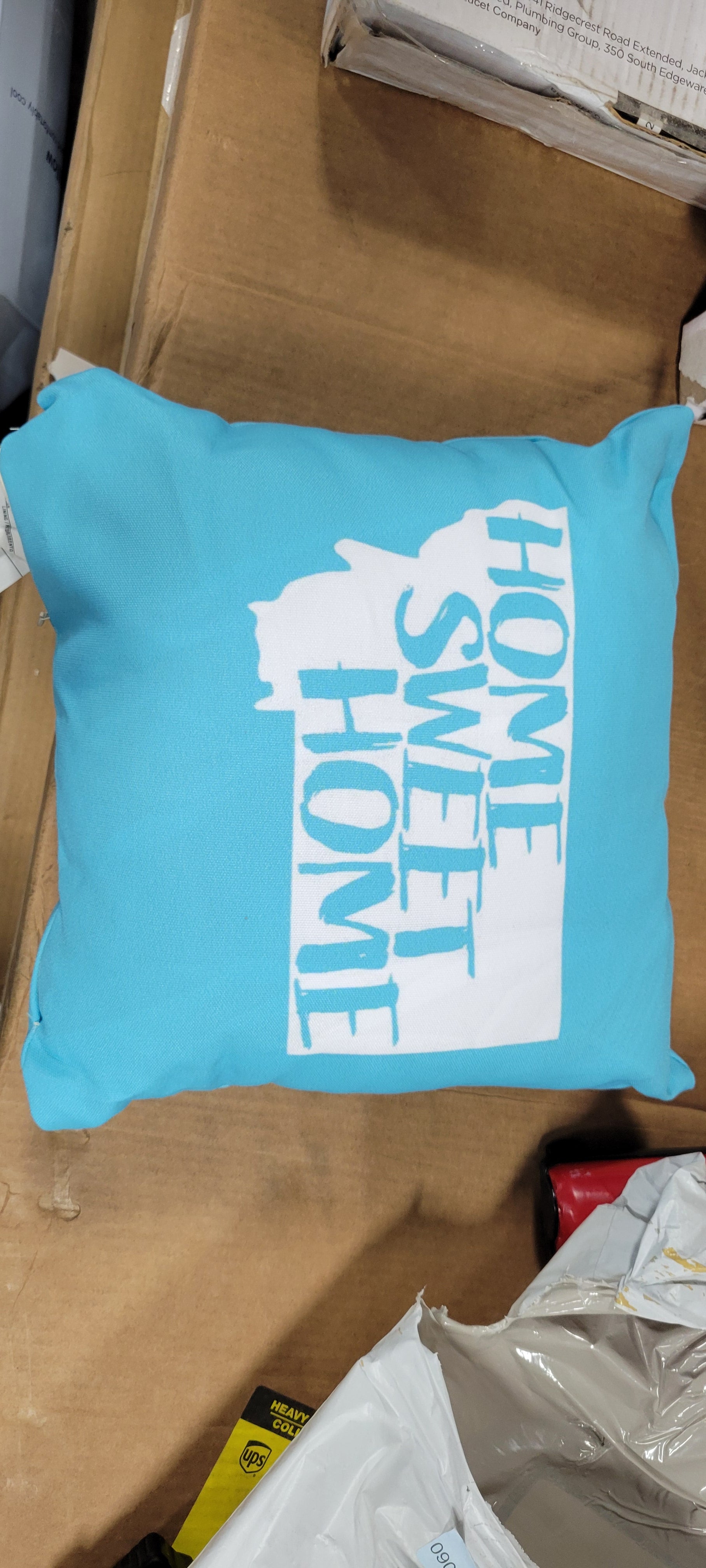 Indoor/Outdoor Reversible Throw Pillow