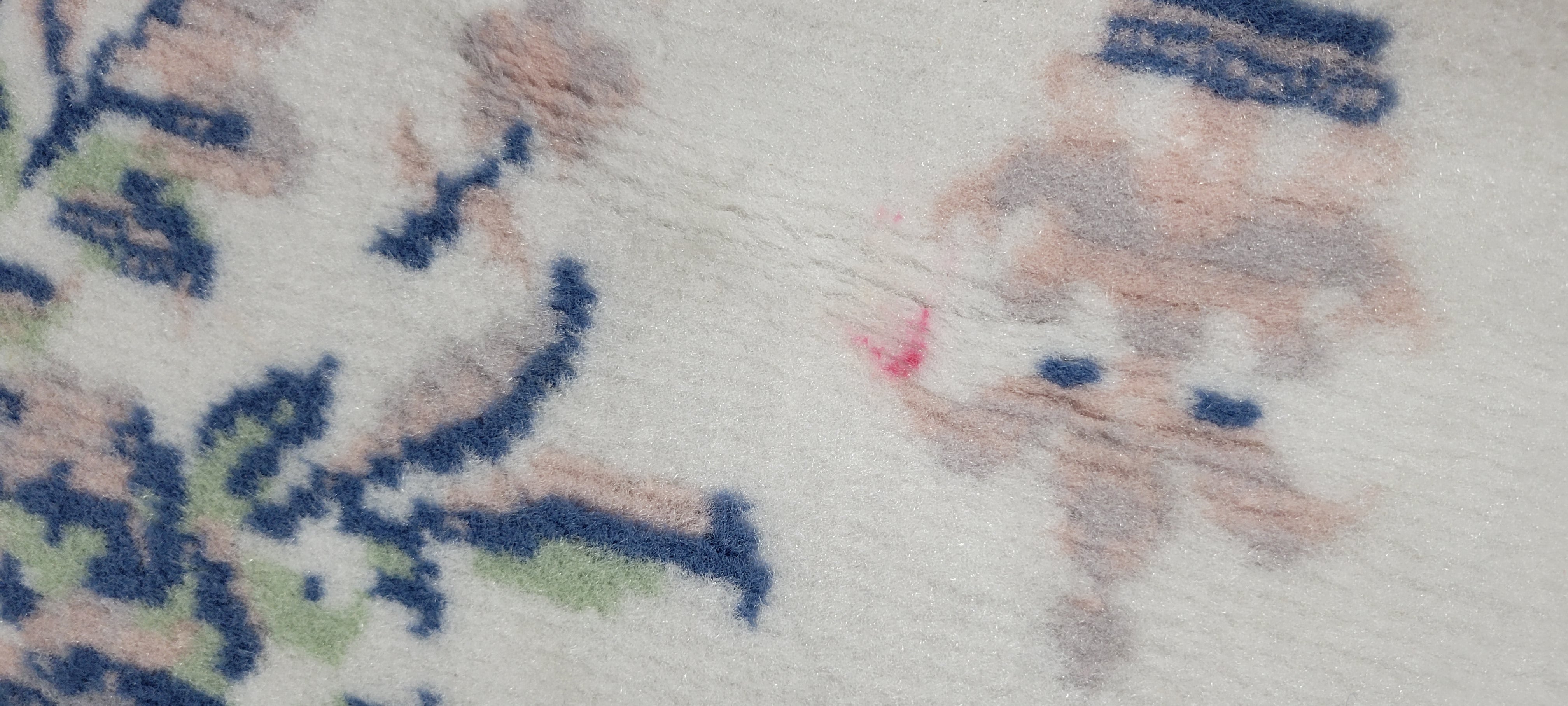 Lattice Border Floral Woven Area Rug Cream 4'x6'