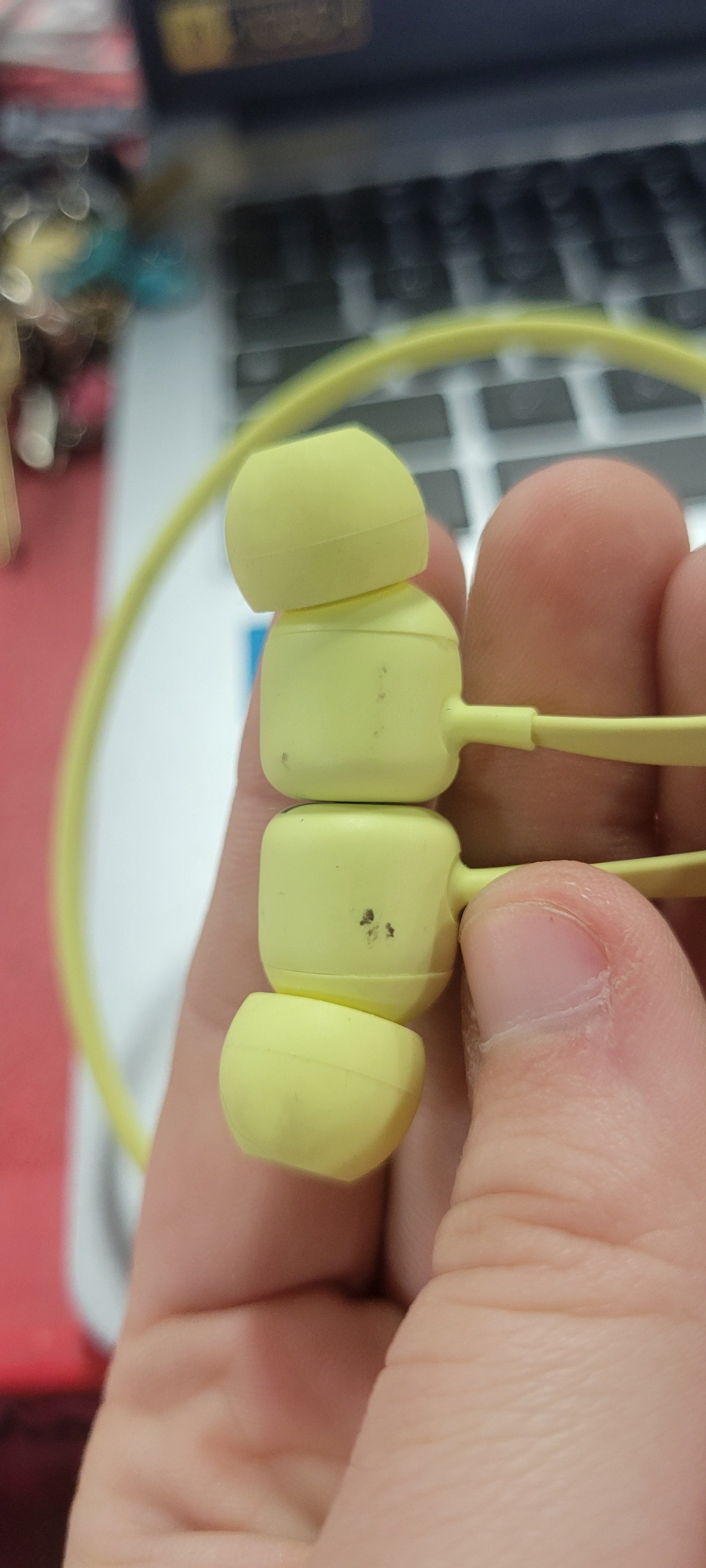 Flex All-Day Bluetooth Wireless Earphones