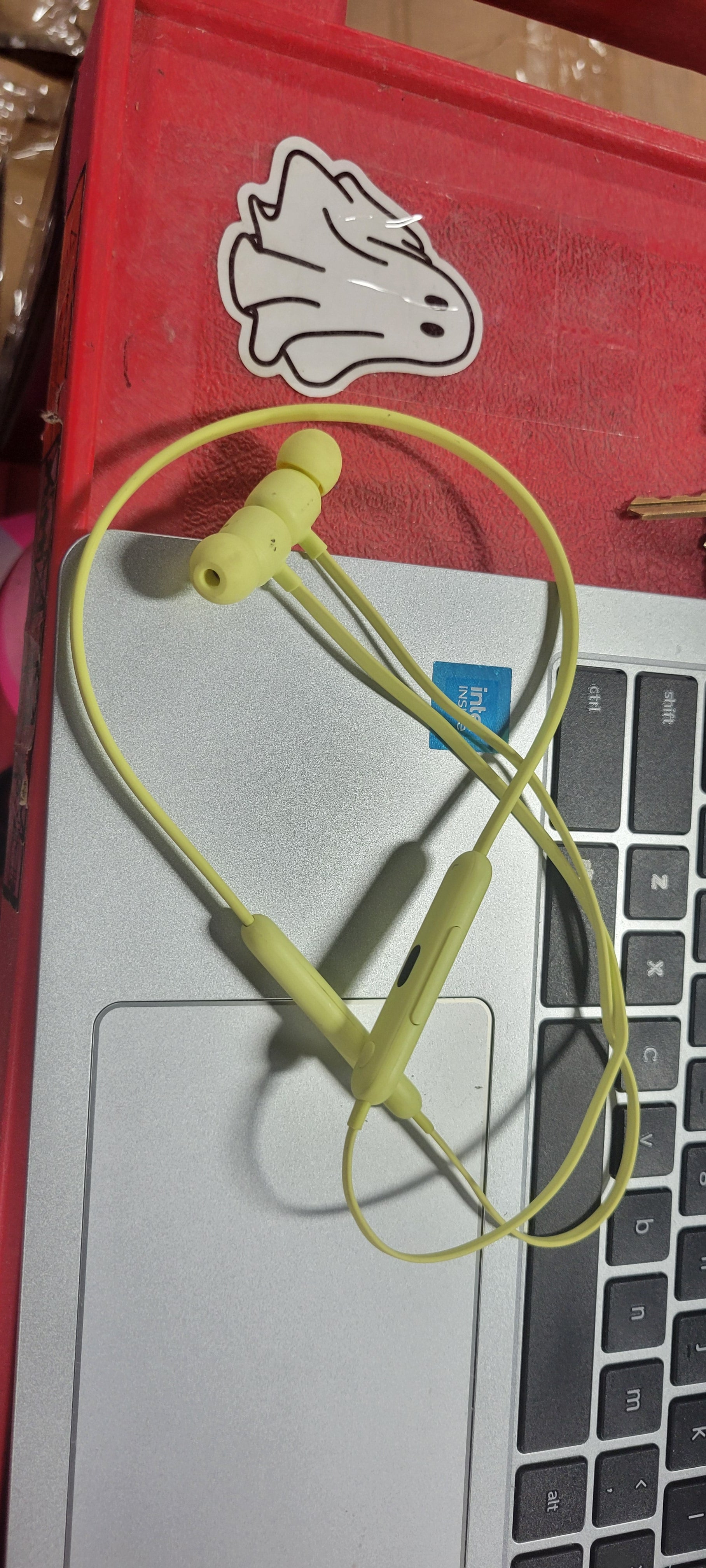 Flex All-Day Bluetooth Wireless Earphones