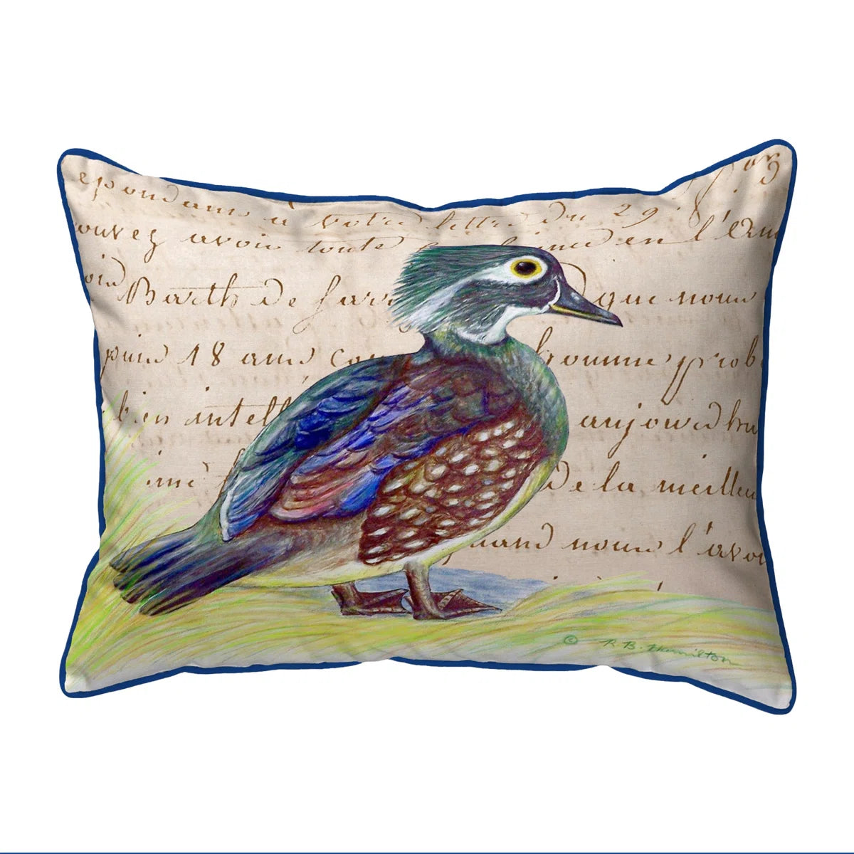 Female Wood Duck Indoor/Outdoor Reversible Throw Pillow SHOWROOM ITEM