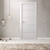 Flush Solid Painted Standard Door