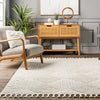 Kerry Textured Geometric Tasseled Indoor Area Rug