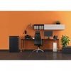 Refrigerator - Black: Compact Freezer, Energy Star, Mini Fridge for Dorms, Adjustable Shelves