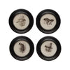 (Set of 4) Round Wood Framed Bird Wall Art Set Black and Ivory