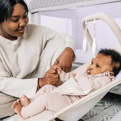 Alpine Deluxe Portable Bouncer