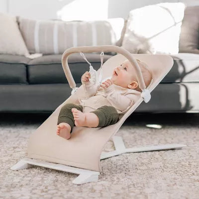 Alpine Deluxe Portable Bouncer