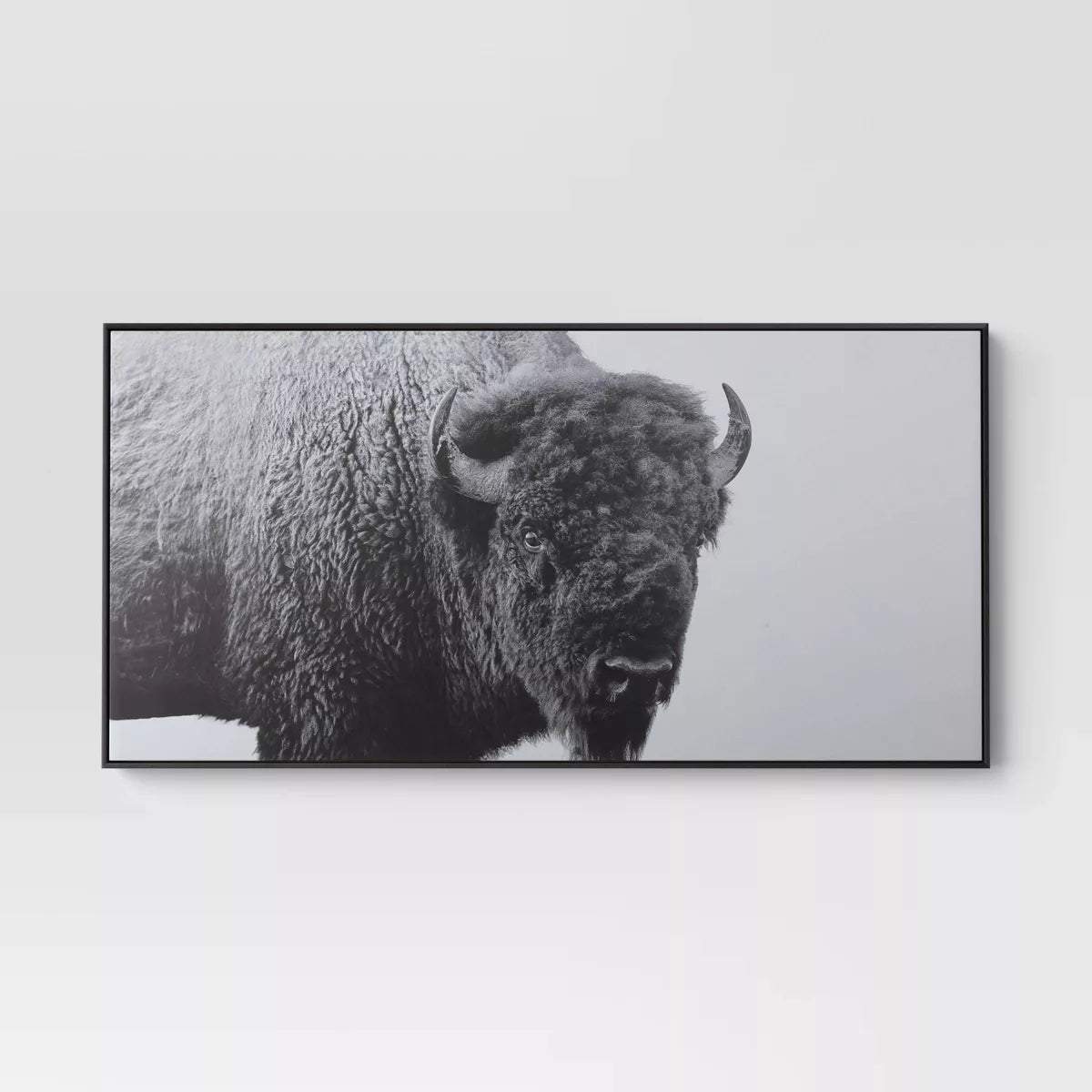 Buffalo Wall Canvas Black