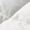 All Seasons Feather & Down Comforter