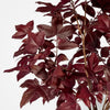 Potted Fall Leaf Arrangement in Vase Burgundy