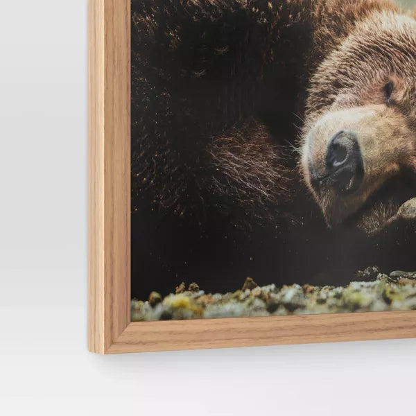 Bear Photography Framed Art Brown - Animal Wall