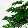 Studio McGee Philodendron Decorative Plant, final cut