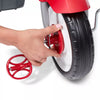 4-in-1 Stroll 'N Trike