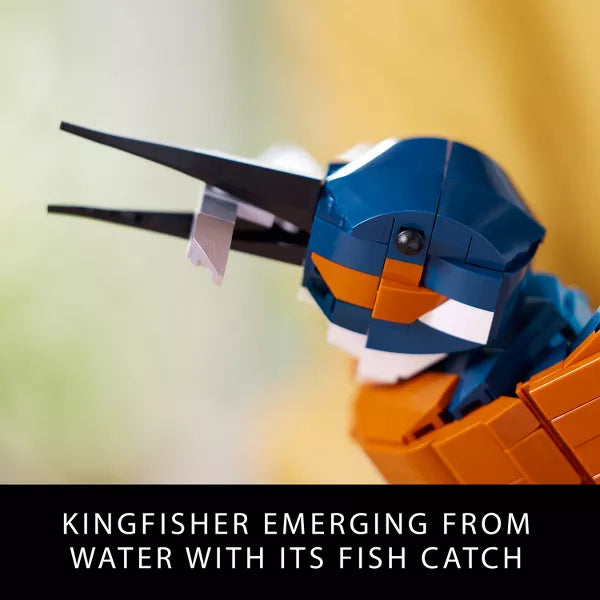 Icons Kingfisher Bird Building Set for Build and Display