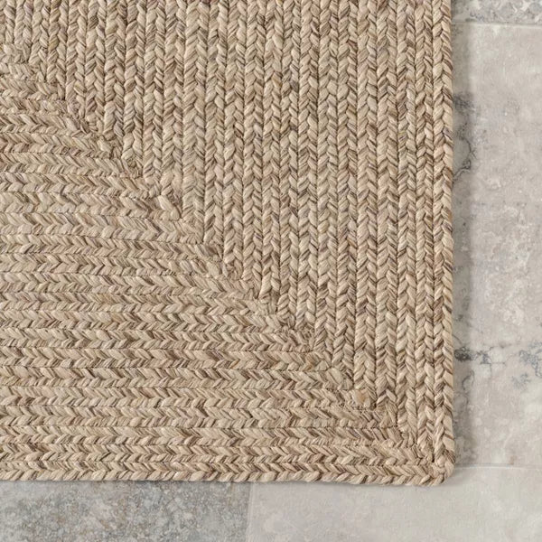 Wynn Braided Indoor/Outdoor Area Rug