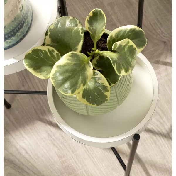 Finn Metal Tri-Level Plant Stand