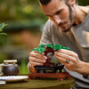 Icons Bonsai Tree Home Décor Set