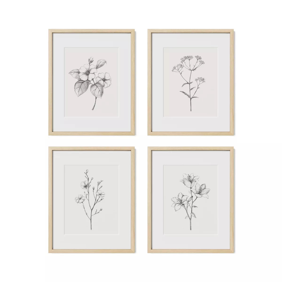 (Set of 3) Framed Antique Floral Print Set - Natural SHOWROOM ITEM