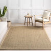 Elijah Farmhouse Seagrass Indoor Area Rug 2'6