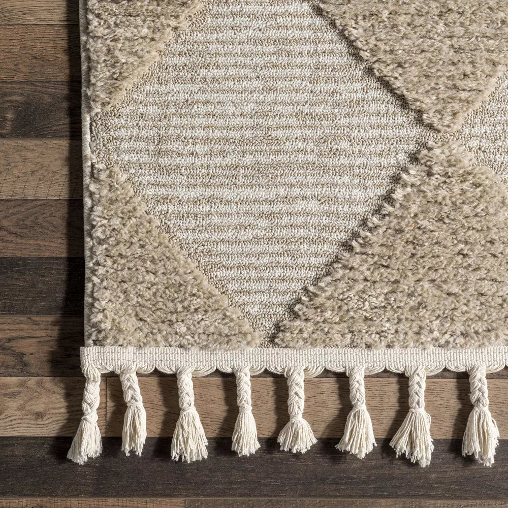 Marissa High/Low Diamond Tassel Indoor Area Rug