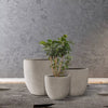 3pc Concrete Outdoor Planter Pots Beige