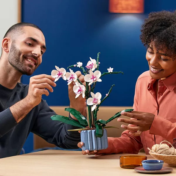 Icons Orchid Plant and Flowers Set
