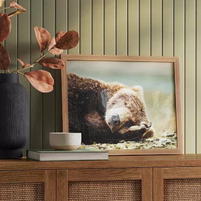 Bear Photography Framed Art Brown