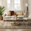 Oakton Jacquard Chenille Area Rug Rust 7'x10'