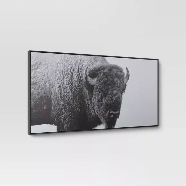 Buffalo Wall Canvas Black