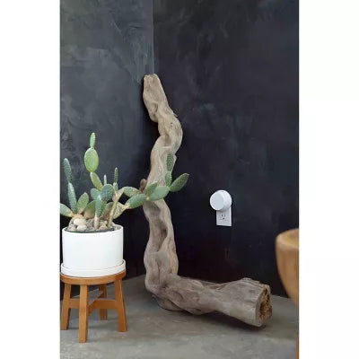 4 Smart Fragrance Diffuser
