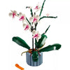 Icons Orchid Plant and Flowers Set