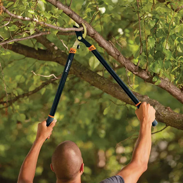 3pc Tree & Shrub Care Set: Rust-Resistant Steel