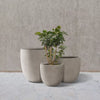 3pc Concrete Outdoor Planter Pots Beige
