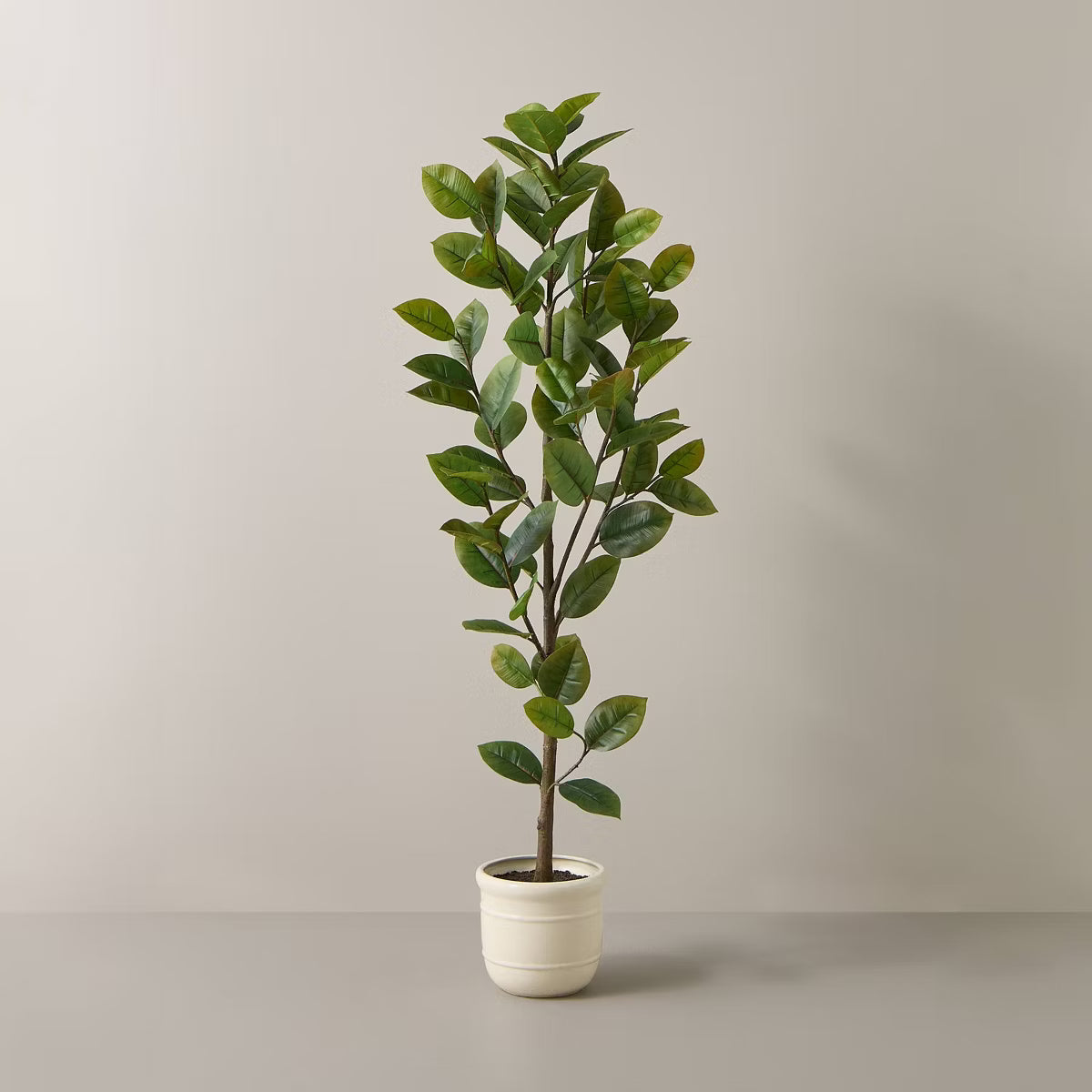 72" Faux Potted Rubber Tree - Hearth & Hand™ with Magnolia - SHOWROOM ITEM 