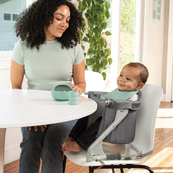 The Ultimate Travel Booster - Gray