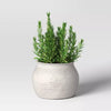 Sun Bleached Composite Indoor Outdoor Planter Pot Cream