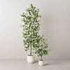 Faux Gypsophila Leaf Tree - Indoor Artificial Plant, No Assembly, Potted