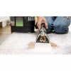 Little Green Max Pet Portable Carpet Cleaner