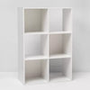 6 Cube Organizer Shelf