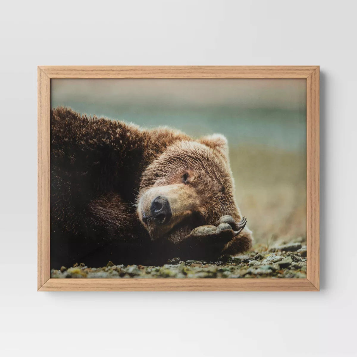 Bear Photography Framed Art Brown - Animal Wall