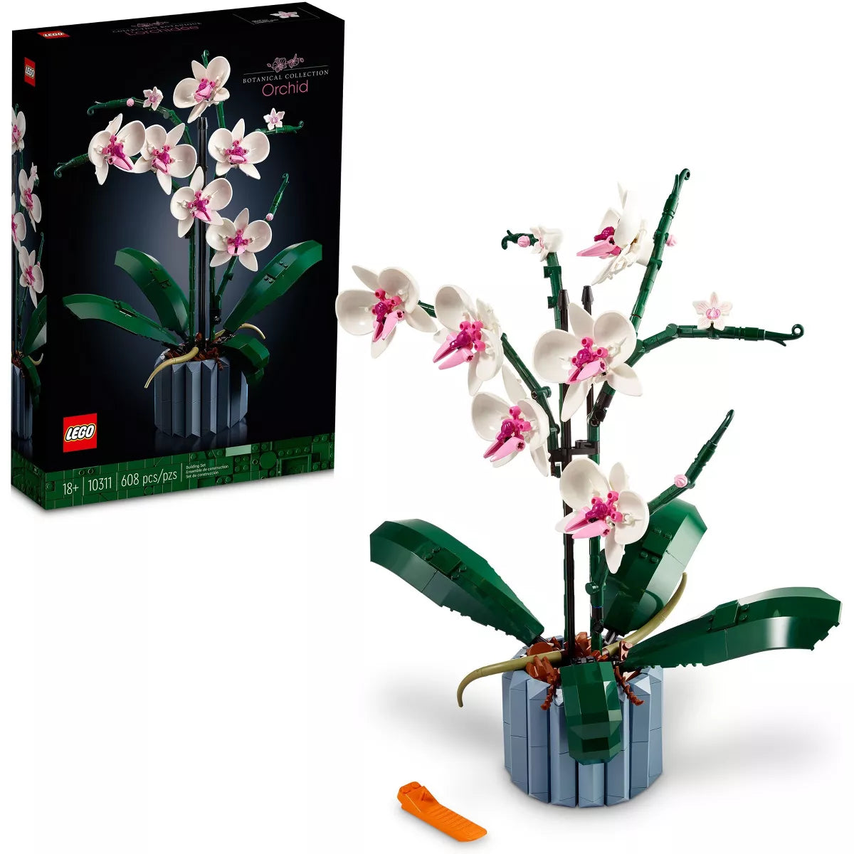 Icons Orchid Plant and Flowers Set