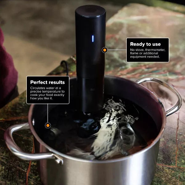 Precision Cooker Mini Sous Vide Immersion Circulator Black: Smartphone App Control, Automatic Shut-Off