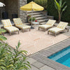 Outdoor Back to College Series Plastic Straw Rug-Waterproof Reversible Mat 8'2