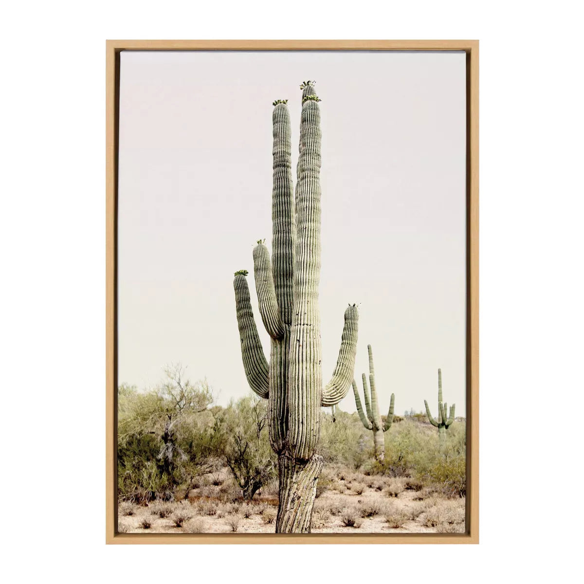Sylvie Sunrise Cactus Framed Canvas by Amy Peterson Natural
