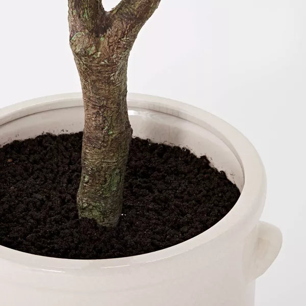 Artificial Olive Tree in Ceramic Pot - Indoor Faux Plant Decor, No Assembly Required