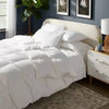 All Seasons Feather & Down Comforter