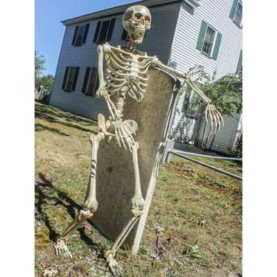 Posable Skeleton Party Decoration